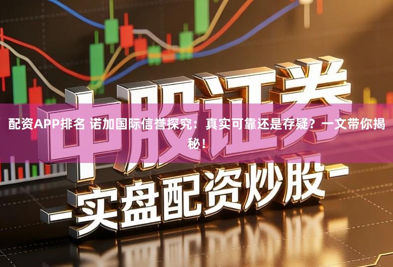 配资APP排名 诺加国际信誉探究：真实可靠还是存疑？一文带你揭秘！