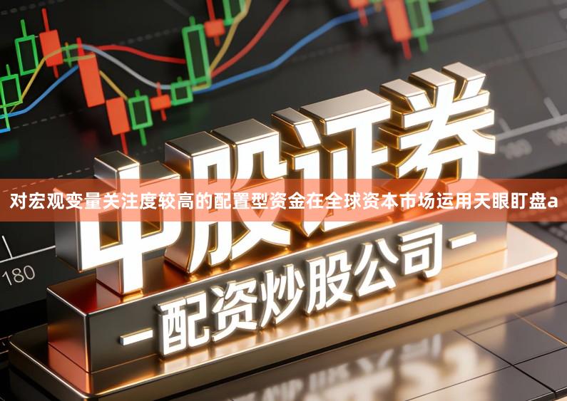 对宏观变量关注度较高的配置型资金在全球资本市场运用天眼盯盘a