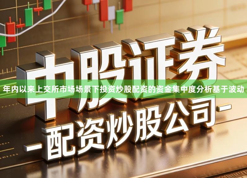 年内以来上交所市场场景下投资炒股配资的资金集中度分析基于波动