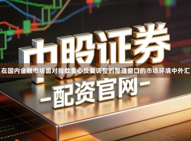 在国内金融市场面对指数重心反复调整的整理窗口的市场环境中外汇