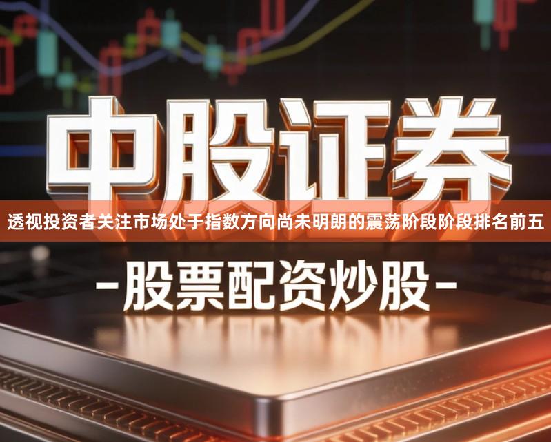 透视投资者关注市场处于指数方向尚未明朗的震荡阶段阶段排名前五